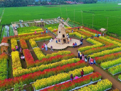 Wisata desa